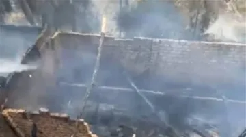 احتراق هائل في مزارع عزبة الطين بالدقهلية يؤدي إلى نفوق عدد من الماشية