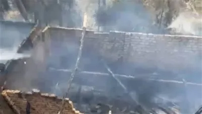 احتراق هائل في مزارع عزبة الطين بالدقهلية يؤدي إلى نفوق عدد من الماشية احتراق هائل في مزارع عزبة الطين بالدقهلية يؤدي إلى نفوق عدد من الماشية