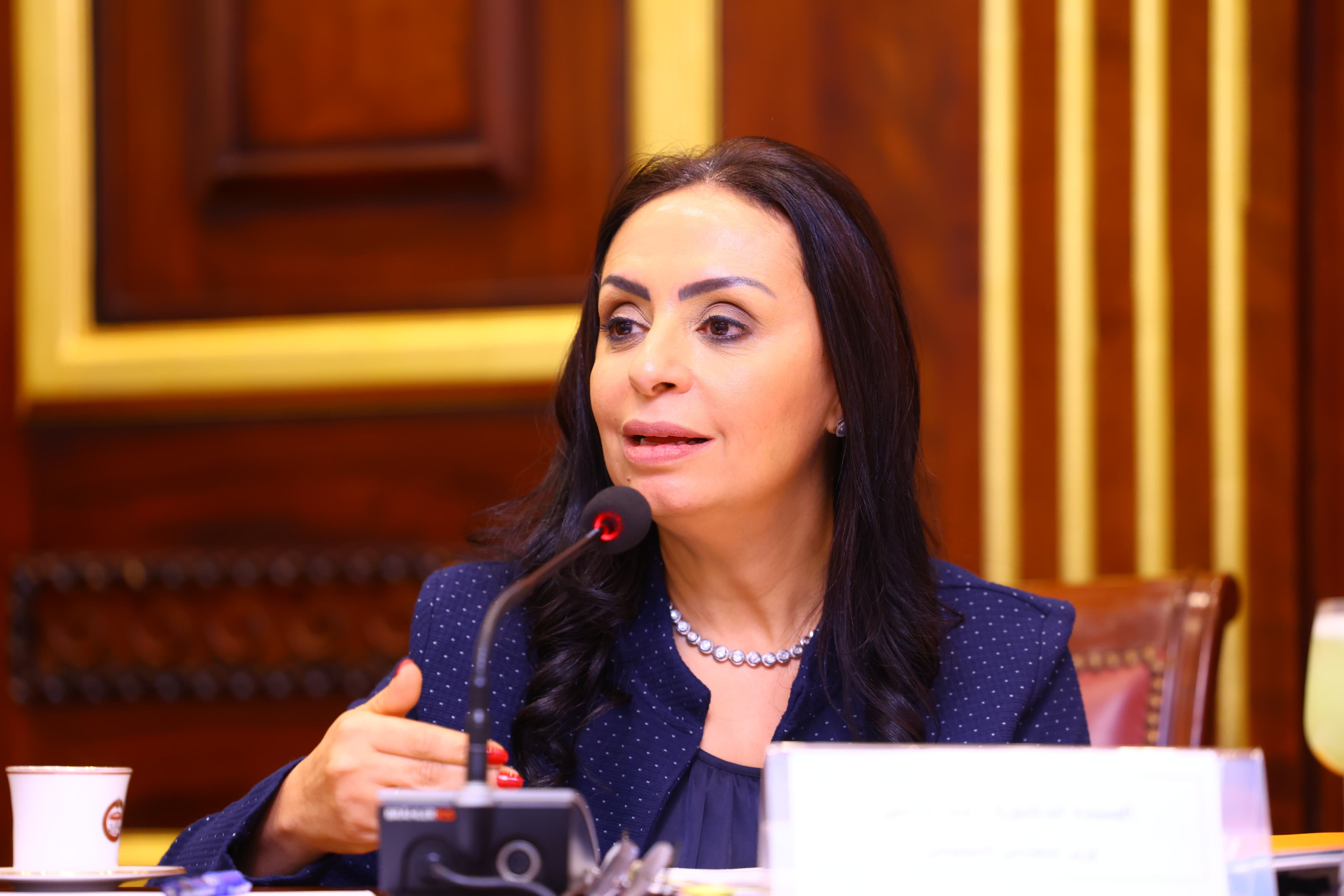 وزيرة التضامن