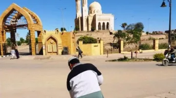 حقيقة وقوع حريق في سالوجا وغزال بمحافظة أسوان