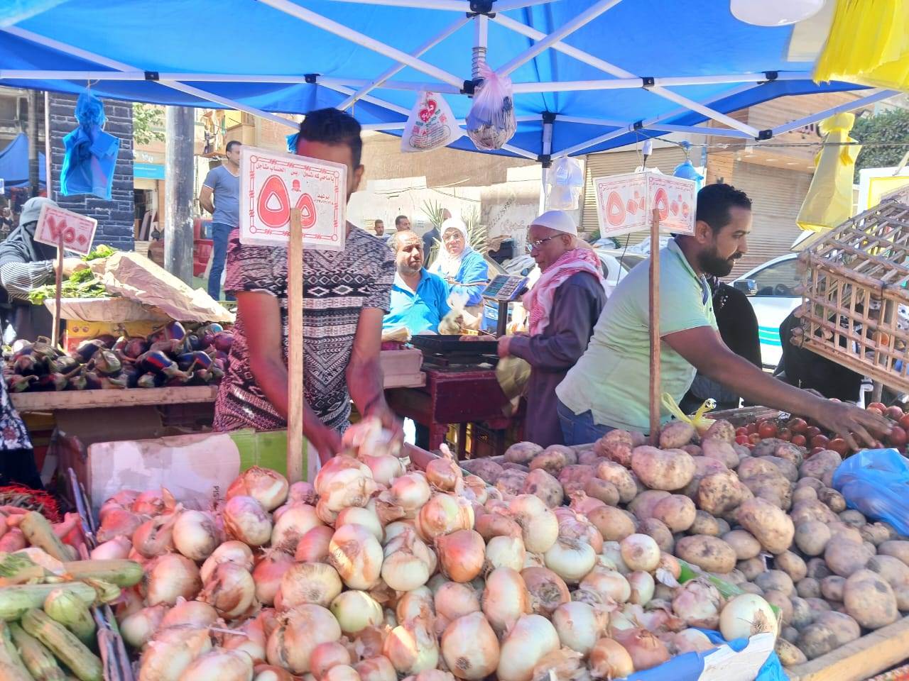 وزير التموين و التجارة الداخلية و محافظ الإسكندرية فى جولة تفقدية    لمحطة الزيوت و الشحوم بالمكس     و سوق اليوم الواحد بالعجمى