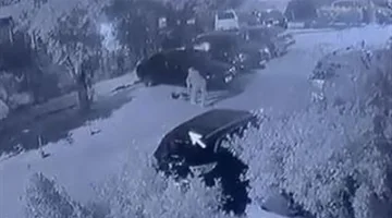 الداخلية توضح تفاصيل حادثة الاعتداء على كلب ضال أدى إلى وفاته في النزهة بالقاهرة