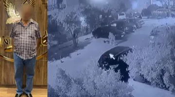 بيان رسمي يسلط الضوء على حادثة قتل “كلب” على يد مواطن في شوارع القاهرة