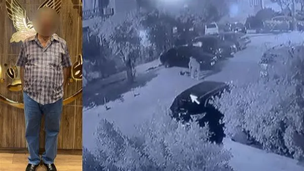بيان رسمي يسلط الضوء على حادثة قتل “كلب” على يد مواطن في شوارع القاهرة بيان رسمي يسلط الضوء على حادثة قتل “كلب” على يد مواطن في شوارع القاهرة