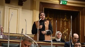 نائبة التنسيقية هيام الطباخ: المواطن المصري يستحق التقدير، وأدعم مشروع قانون العلاوة الدورية لتعزيز العدالة الاجتماعية.