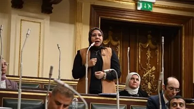 نائبة التنسيقية هيام الطباخ: المواطن المصري يستحق التقدير، وأدعم مشروع قانون العلاوة الدورية لتعزيز العدالة الاجتماعية. نائبة التنسيقية هيام الطباخ: المواطن المصري يستحق التقدير، وأدعم مشروع قانون العلاوة الدورية لتعزيز العدالة الاجتماعية.