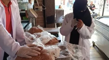 استعداداً لعيد الأضحى.. حملة في بورسعيد لمراقبة نقاط بيع اللحوم