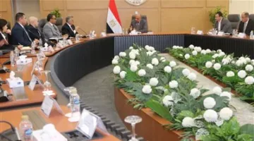 الكهرباء: تعزيز كفاءة الطاقة من خلال تنظيم شفاف ومنافسة نزيهة