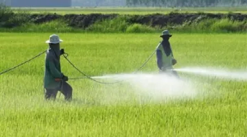 تطوير صناعة المبيدات في مصر.. خطوة استراتيجية بارزة نحو تحقيق الاكتفاء الذاتي وضمان الأمن الغذائي