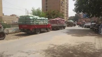 محافظ المنيا: استلام 459 ألف طن من القمح في صوامع المحافظة