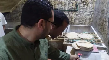 حملة مفاجئة على مخابز مركز قطور تؤدي إلى تحرير 12 محضرًا