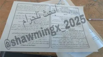 شاومينج يشارك أسئلة امتحان مادة اللغة العربية للثانوية الفنية عبر تيليجرام