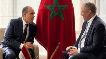 وزير الخارجية: ضرورة تعزيز الشراكة بين الموانئ المصرية والمغربية في مجال الخدمات اللوجستية
