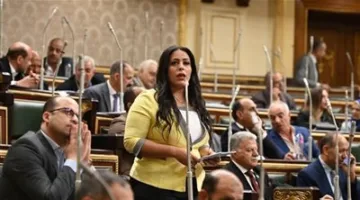 نائبة تنسيقية مرثا محروس تدعم مشروع قانون العلاوة وتطالب بفرض رقابة على الحد الأدنى للأجور ومعالجة تفاوت الرواتب.