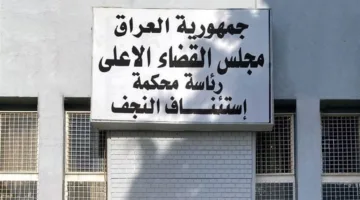 الحكم بالسجن لمدة 4 أشهر على الناشطة رنا الصميدعي