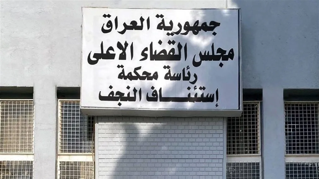 الحكم بالسجن لمدة 4 أشهر على الناشطة رنا الصميدعي
