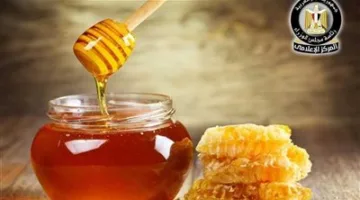 مجلس الوزراء يوضح الحقائق بعد ادعاءات بشأن بيع “عسل نحل ملوث” في الأسواق