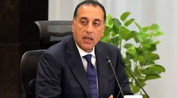 رئيس الوزراء يراقب تقدم جهود تطوير صناعة الحرير في مصر