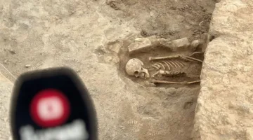 داخل جامعة عراقية.. القبض على تاجر آثار بملكيته جمجمة تعود لـ 4000 عام