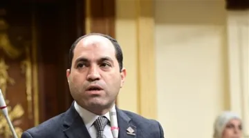عمرو درويش: لدينا رؤية واضحة في “التنسيقية” تتعلق بإعادة توزيع منصف للمقاعد الانتخابية