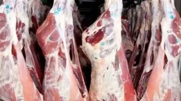 ارتفاع أسعار اللحوم في الأسواق: عوامل الزيادة في تكاليف الأعلاف وتربية العجول