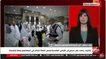 إيهاب عبد العال: أحداث العام الماضي خلال موسم الحج لن تتكرر و80% من الحجاج وصلوا إلى الأراضي المقدسة
