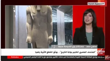 كيف يعبر المتحف المصري الكبير عن الهوية الثقافية لمصر؟