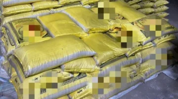 إغلاق مستودع حبوب بسبب انتهاكه الشروط الصحية في شبين القناطر
