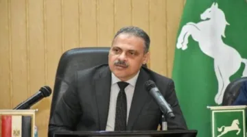 محافظ الشرقية: زيادة كميات القمح الموردة إلى الشون والصوامع إلى 583 ألف طن