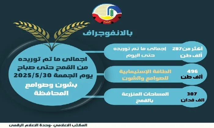 نقل أكثر من 287 ألف طن من القمح إلى مستودعات وصوامع البحيرة نقل أكثر من 287 ألف طن من القمح إلى مستودعات وصوامع البحيرة