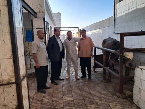 عيد الأضحى 2025: «الخدمات البيطرية» تُحدث 8 مسالخ في 5 محافظات عيد الأضحى 2025: «الخدمات البيطرية» تُحدث 8 مسالخ في 5 محافظات