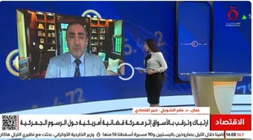 “الشوبكي”: الارتباك القانوني في واشنطن يؤثر على الأسواق العالمية