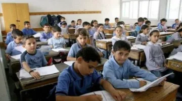 عاجل | نتائج السنة الرابعة الابتدائية الترم الثاني