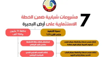 إطلاق 7 مشاريع بتكلفة 11.7 مليون جنيه في البحيرة (إنفوجراف)