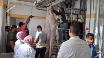 “الهيئة البيطرية” تعلن عن تحديث 8 مجازر في 5 محافظات
