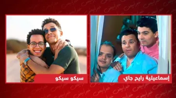 السينما من إسماعيلية رايح جاي 97 إلى سيكو سيكو 2025