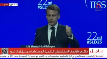 ماكرون يثني على جهود الوساطة التي بذلتها مصر وقطر والولايات المتحدة في غزة.