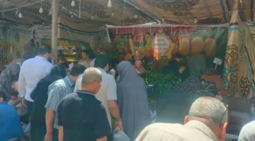 محافظ الدقهلية: استمرار إقامة سوق اليوم الواحد كل خميس وجمعة أسبوعيًا