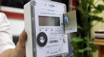 شحن رصيد الكهرباء عبر الهاتف المحمول: خطوات لإعادة تعبئة الرصيد المسبق الدفع