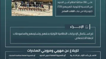 إلقاء القبض على 36 شخصًا لتهريبهم 720 كجم من القات في الربوعة