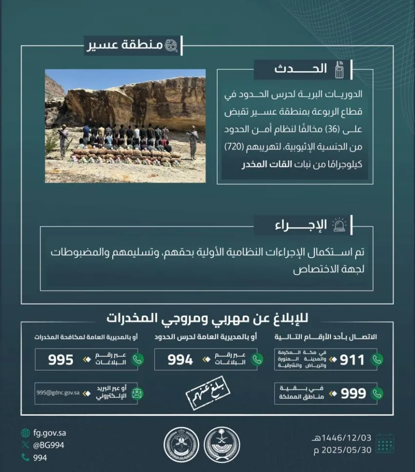 إلقاء القبض على 36 شخصًا لتهريبهم 720 كجم من القات في الربوعة