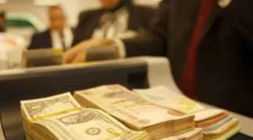 عاجل | تحديث سعر الدولار مقابل الجنيه المصري اليوم الجمعة بعد الانخفاض الأخير