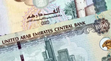 سعر الدرهم الإماراتي مقابل الجنيه المصري في يوم السبت 31 مايو 2025 بحسب أحدث البيانات