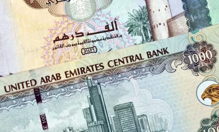 سعر الدرهم الإماراتي مقابل الجنيه المصري في يوم السبت 31 مايو 2025 بحسب أحدث البيانات سعر الدرهم الإماراتي مقابل الجنيه المصري في يوم السبت 31 مايو 2025 بحسب أحدث البيانات