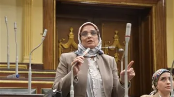 النائبة نجلاء العسيلي حول الإيجار القديم: نحتاج إلى معلومات وصفية مفصلة لا مجرد أرقام، لفهم تركيبة الأسر وظروفهم.
