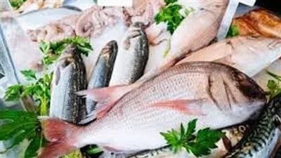 أسعار الأسماك في سوق العبور اليوم، السبت 31 مايو أسعار الأسماك في سوق العبور اليوم، السبت 31 مايو