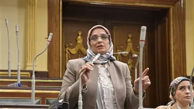 نائبة لتحيا مصر: قانون الهيئة الوطنية للتعليم يمثل خطوة رئيسية نحو إصلاح كلي وضرورة التنسيق بين الجهات لضمان جودة التعليم نائبة لتحيا مصر: قانون الهيئة الوطنية للتعليم يمثل خطوة رئيسية نحو إصلاح كلي وضرورة التنسيق بين الجهات لضمان جودة التعليم