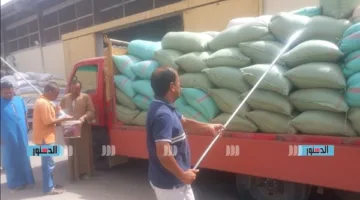 توزيع 263 ألف طن من القمح على مواقع التخزين في الدقهلية حتى الآن