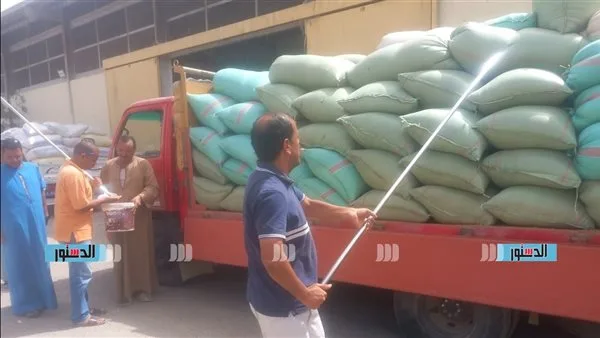 توزيع 263 ألف طن من القمح على مواقع التخزين في الدقهلية حتى الآن توزيع 263 ألف طن من القمح على مواقع التخزين في الدقهلية حتى الآن