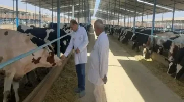 إطلاق المرحلة الثانية من مبادرة ‘احلم’… وزير الزراعة يقوم بجولة في مزرعة ومصنع هيلثي بالشرقية اليوم
